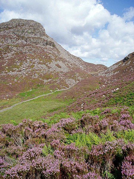 File:Rhinog Fawr.jpg