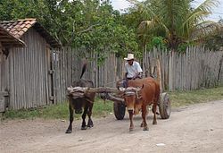 Road in Talanga