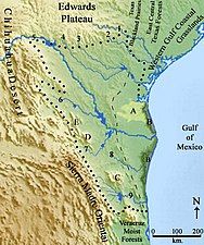 Tamaulipan Mezquital Map