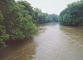 Walhonding River in Coshocton