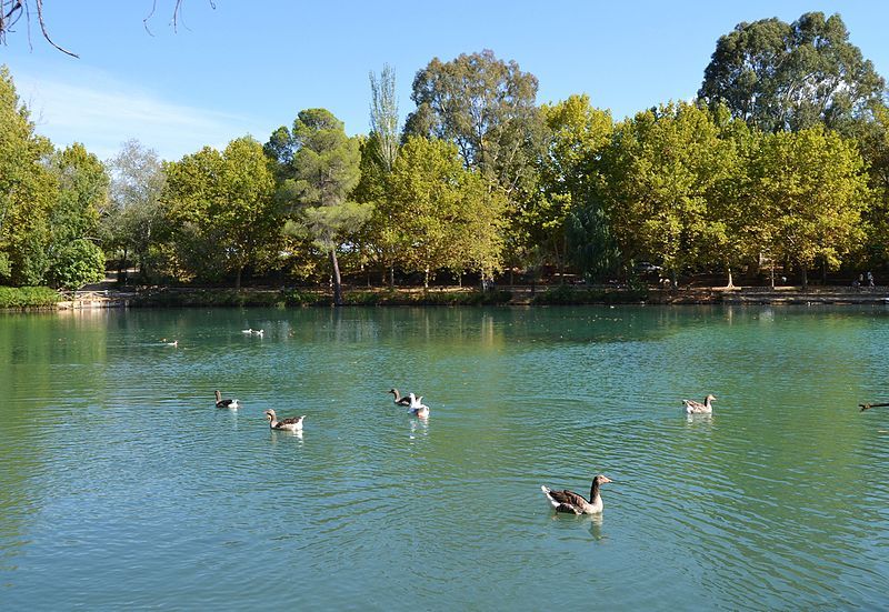 File:Albufera - Anna.JPG