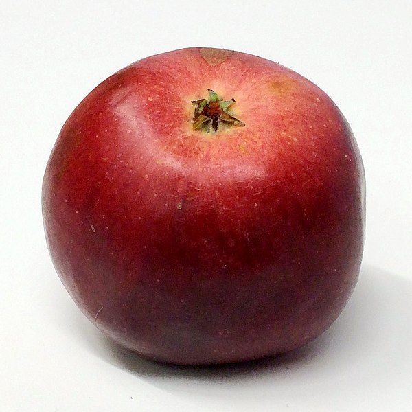 File:Alice (apple).jpg