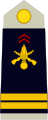 Lieutenant (French Army)[32]