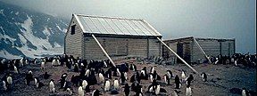 Two wooden structures surrounded by penguins. The larger, on the left, has a pitched roof and is supported by timber braces. The smaller, on the right, has no roof. Snowy slopes are visible in the background.