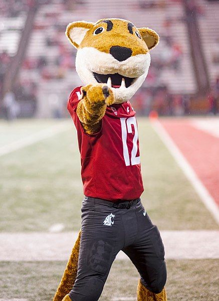 File:Butch T. Cougar.jpg