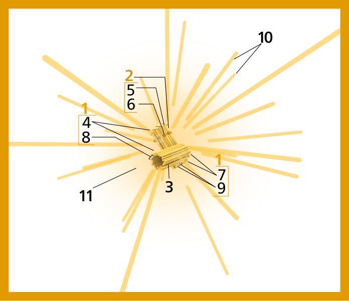 File:Centrosome (numbers version).svg