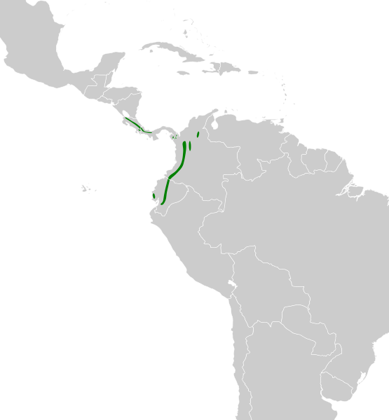 File:Cranioleuca erythrops map.svg