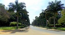 Cubbon Park