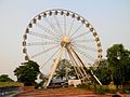 Delhi Eye