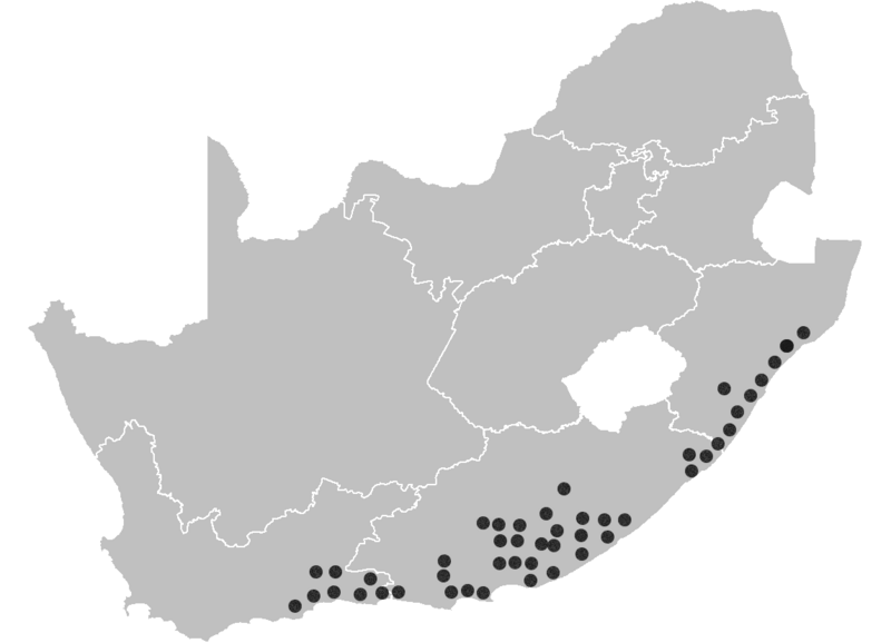 File:H. albiflos distribution.png