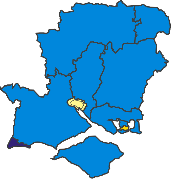 File:HampshireParliamentaryConstituency1918Results.svg