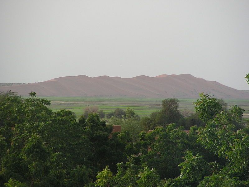 File:La Dune Rose.jpg