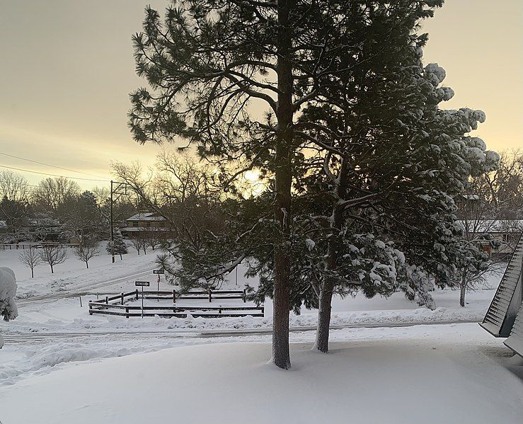 File:Littleton Snow.jpg