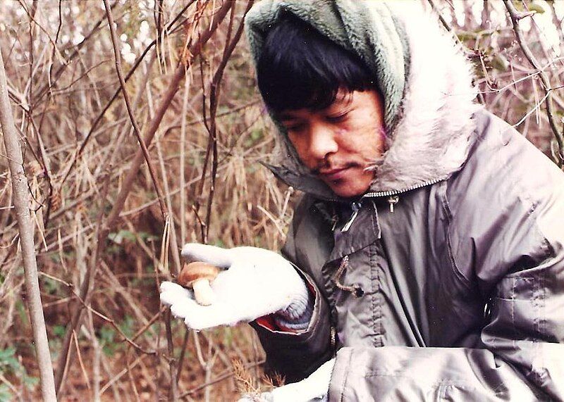 File:Matsutakeredpinemushroomhunting.jpg