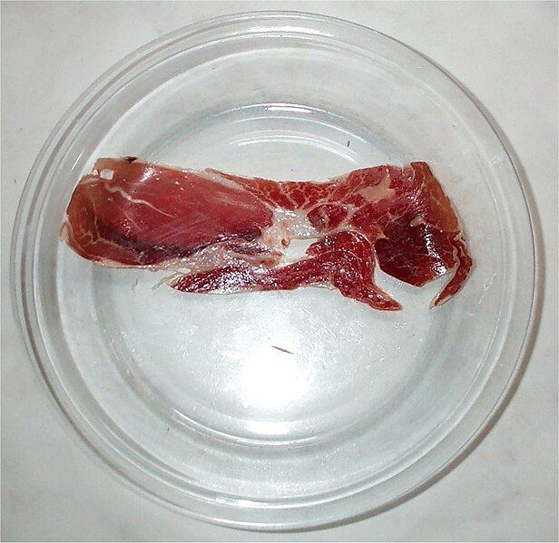 File:Paleta-ibérico.jpg