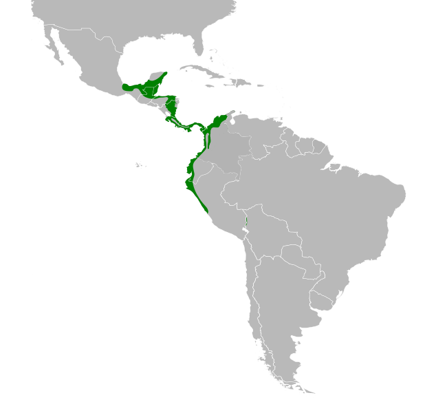 File:Polioptila bilineata map.svg