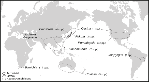 File:Pomatiopsidae map.svg