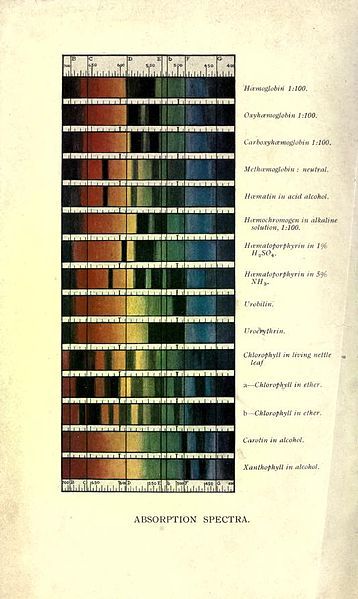 File:Practicalorganic00plimuoft 0008.jpg