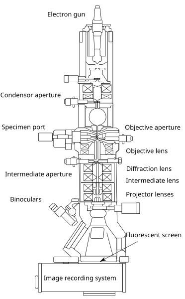 File:Scheme TEM en.svg