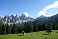 Spalti di Toro and Forcella Spé.