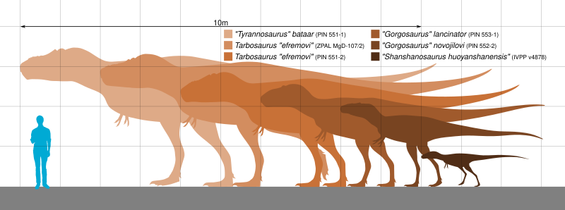 File:Tarboscale.svg