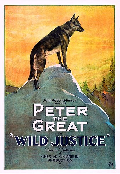 File:Wild Justice poster.jpg