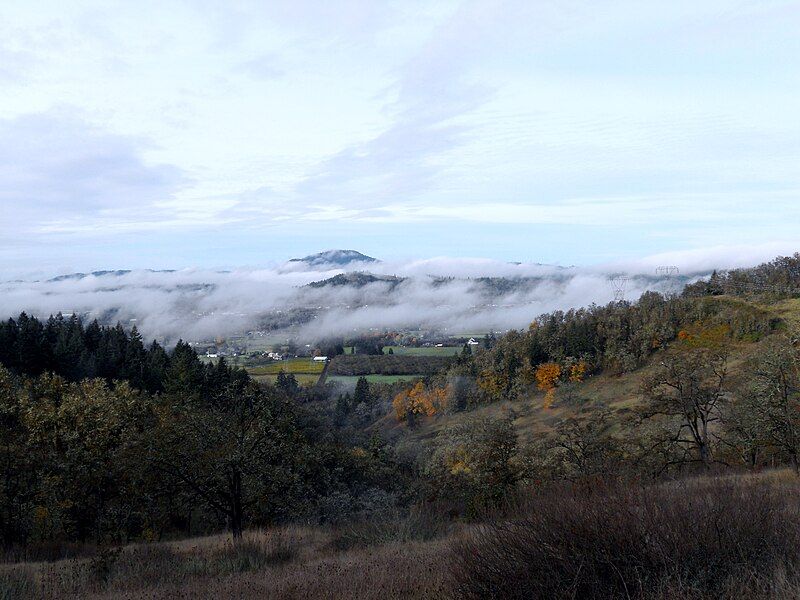 File:Willamette Valley fog.JPG