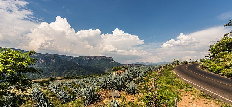 File:Achio, Amatitán, Jalisco.jpg