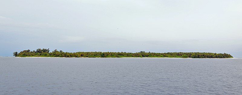 File:Ariadhoo.jpg