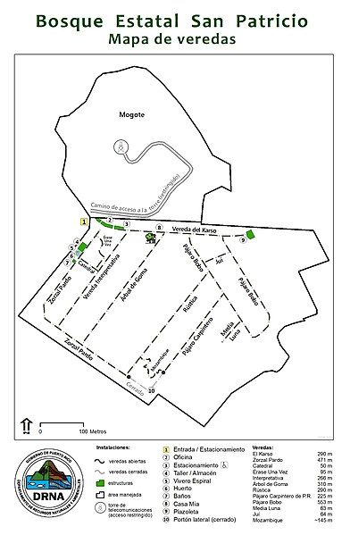 File:BosqueSanPatricio 2020 simple.jpg