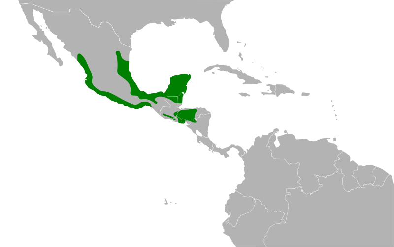 File:Cyanocompsa parellina map.svg