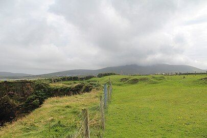 Gort na Gearradh ("field of the cuttings") & Gort na gCeann ("field of the heads"), Dún an Óir, site of the 1580 massacre.