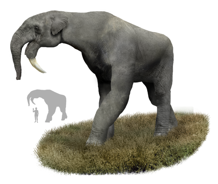 File:Deinotherium.png