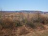 Rheingau Hills and Erbacher Kopf