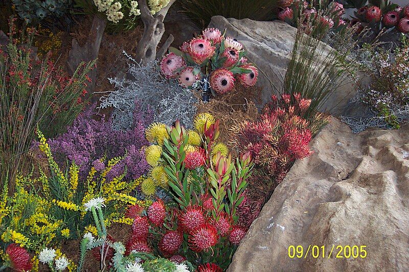 File:Flowershow03ra.jpg