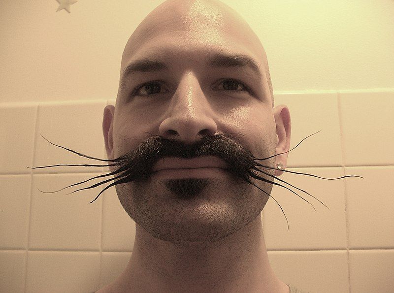 File:Gandhi Jones whiskers.JPG