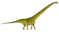 Mamenchisaurus