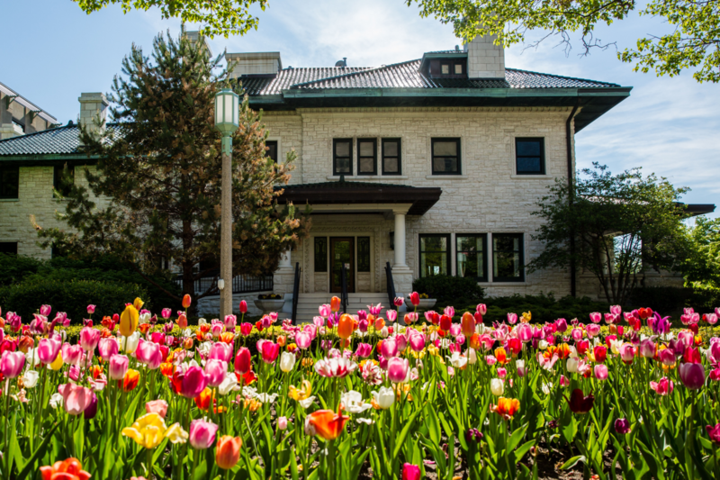 File:Piper hall tulips.png