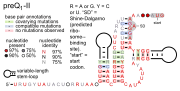 PreQ1-II riboswitch: Secondary structure for the riboswitch marked up by sequence conservation. Family RF01054.