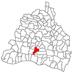 Location in Dolj County