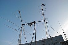 Thin, black, straight wires intersecting at various points protruding from a grey building or else from each other with a blue sky in the background