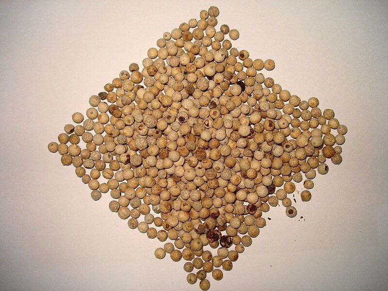 File:White pepper whole.JPG