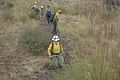 Angeles National Forest Women in Wildland Fire Training Camp