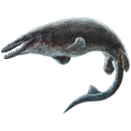 Platecarpus ictericus