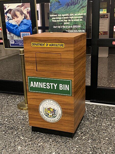 File:Amnesty bin HNL.jpg