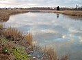 Appoquinimink River in Odessa