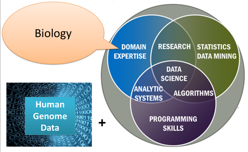 File:Bioinformatics.png