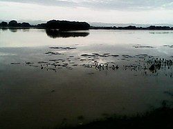 A lake in Pasumarru