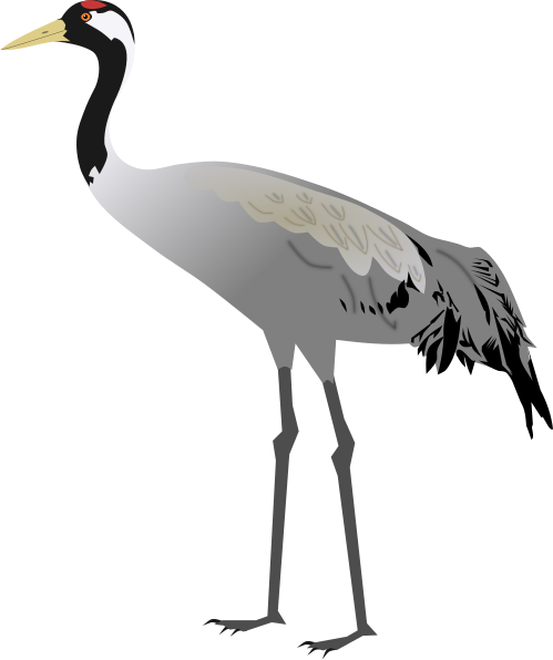 File:Common Crane.svg