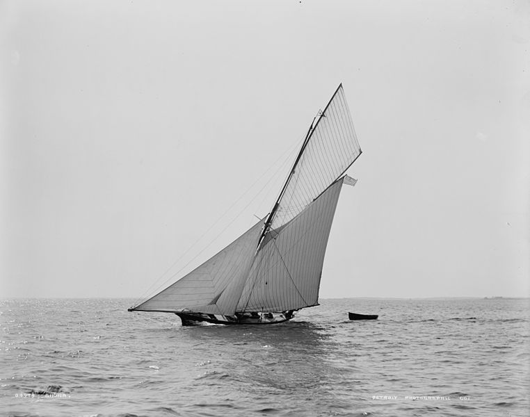 File:Cutter Shona.jpg